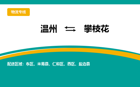 溫州到攀枝花東區物流專線